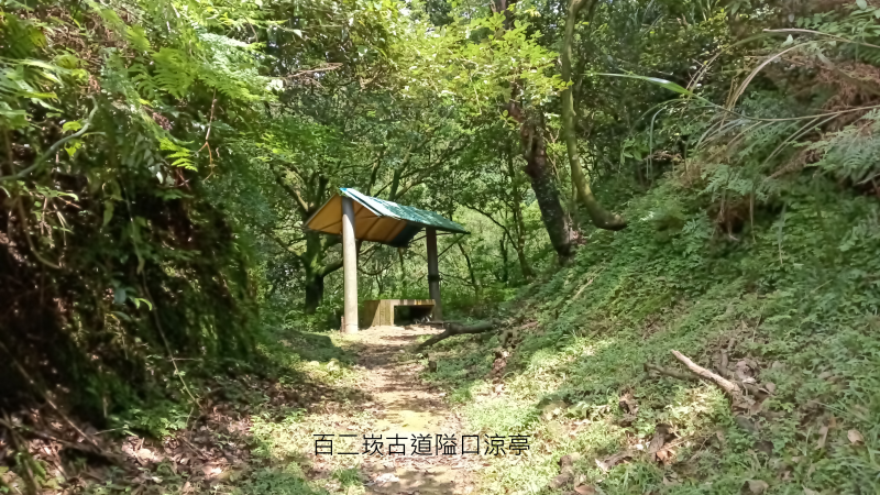 3250b921c56a3e0be2a0ced0095a94f4.png