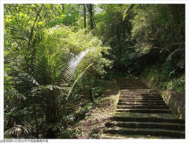 藥園步道 (47).jpg - 藥園步道