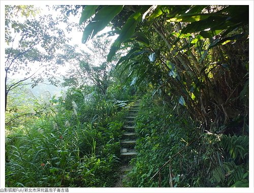 炮子崙古道 (30).JPG - 炮子崙古道