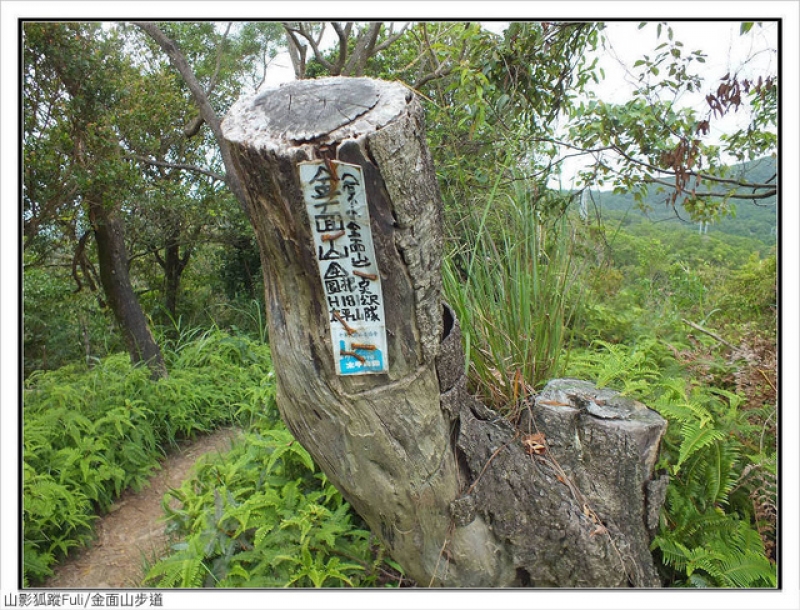 剪刀石山、金面山 (55).jpg - 剪刀石山、金面山