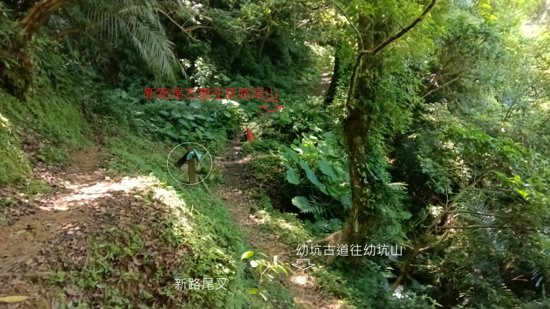 32f016ddb4a88a360a288a45424d4f75.png