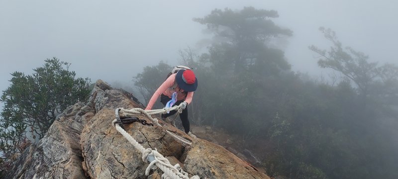 鳶嘴稍來山O繞+稍來神木
