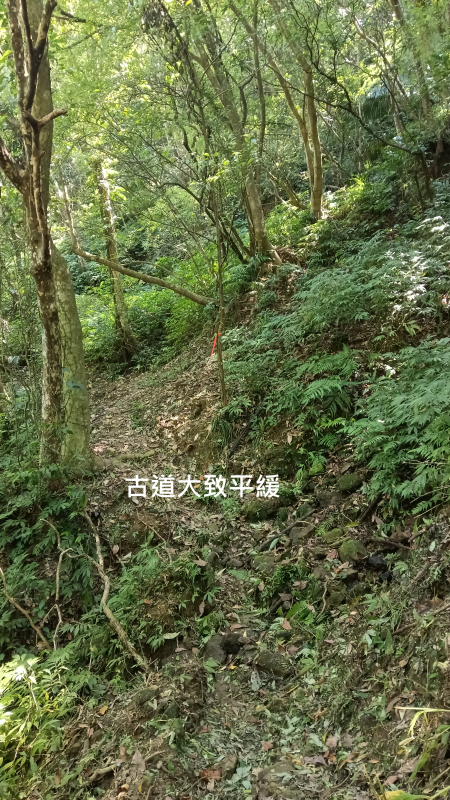 330c160bb09329ae98f206a6cdfbd385.png