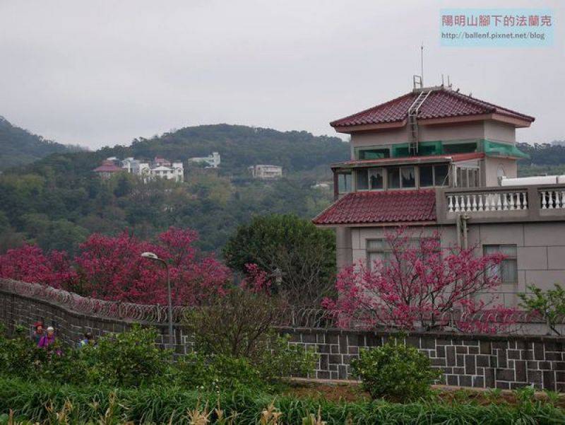 台北市 東昇步道 十八挖水圳步道 風尾步道 健行筆記