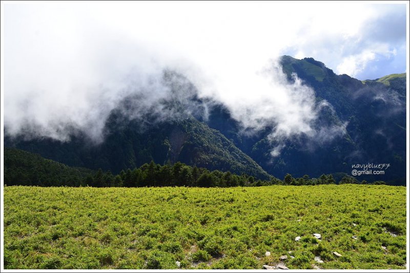 合歡山石門山哈哈山 (58).JPG