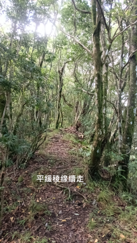 33b6ab0aeba6030566394f5281fbffc9.png
