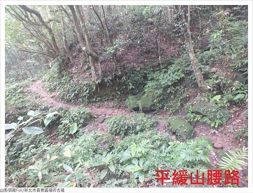 福卯古道 (31).JPG - 福卯古道