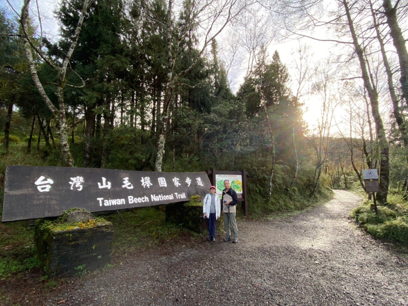 台灣山毛櫸步道 (上午)