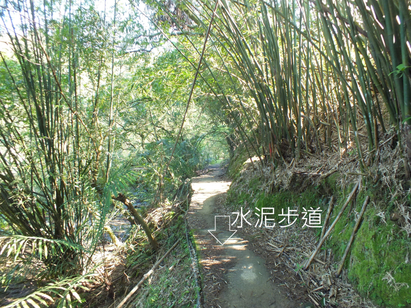 34ca8fc02c2a027f9e570a6be143ff22.jpg