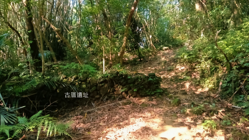 353824ab9ae8c491e11d2df2fcc6edae.png