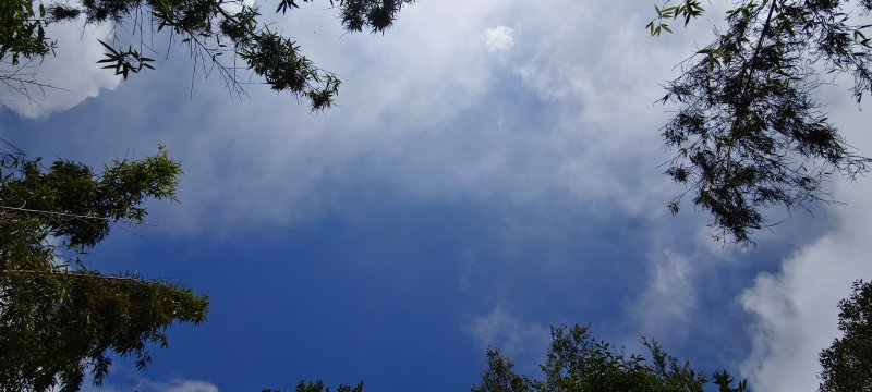 35bea2617f113abc5e8a07cf71f41079.jpg