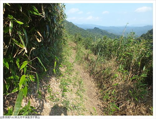 頂子寮山 (14).JPG - 頂子寮山