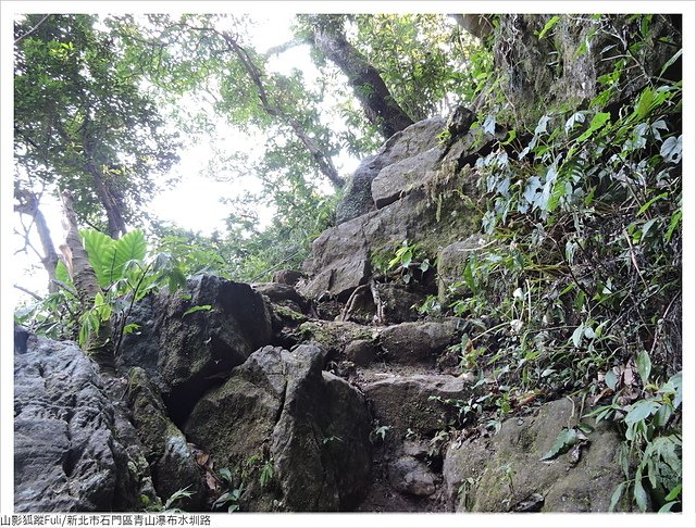 青山瀑布水圳路 (51).JPG - 青山瀑布水圳路