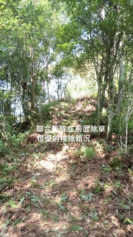 364104e66d0a60514656fbdf81744946.png