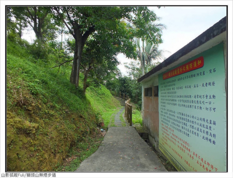 獅頭山無菸步道 (3).jpg - 獅頭山野牡丹