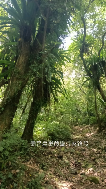 367fd3a8db43e2821891b0229d206544.png