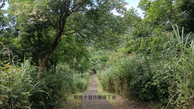 36a4ac8ea507d3b0fcdda9ceb2bdd2ff.png