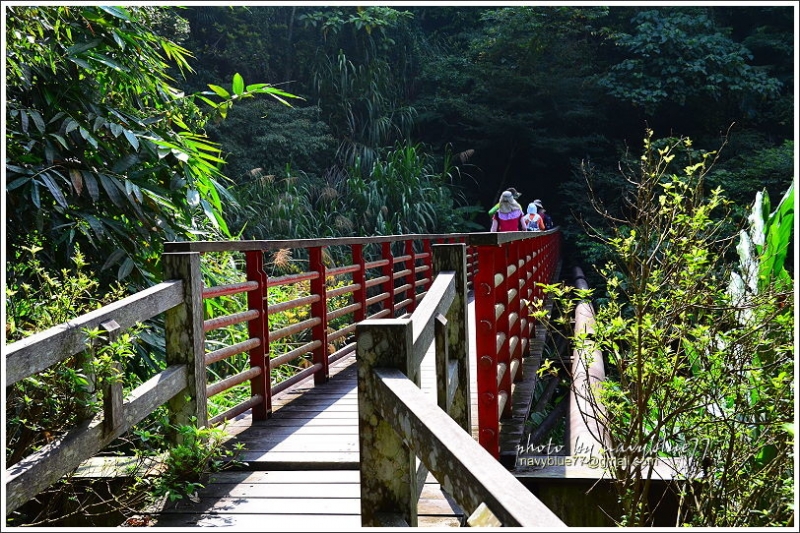 竹坑溪步道08.JPG