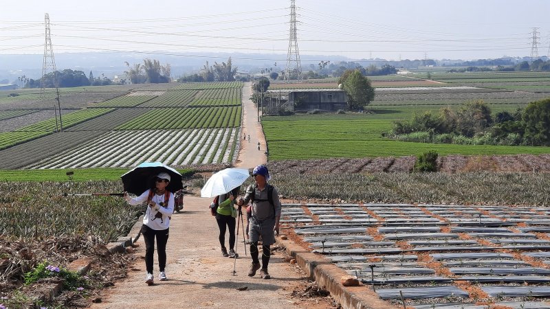 《彰化》挑鹽古道｜社頭18彎古道上橫山＋山湖步道O型