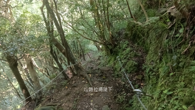 37544a05b084c643586ad5ef398a3191.png