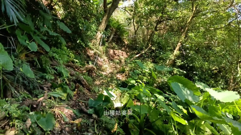 37920d89e06ca5454d51bf9b10984e28.png