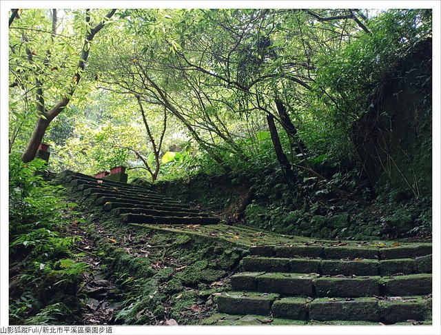 藥園步道 (24).jpg - 藥園步道