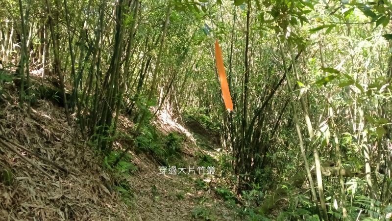 37b5962c464a1cd42d21a6b429fb4a7a.png