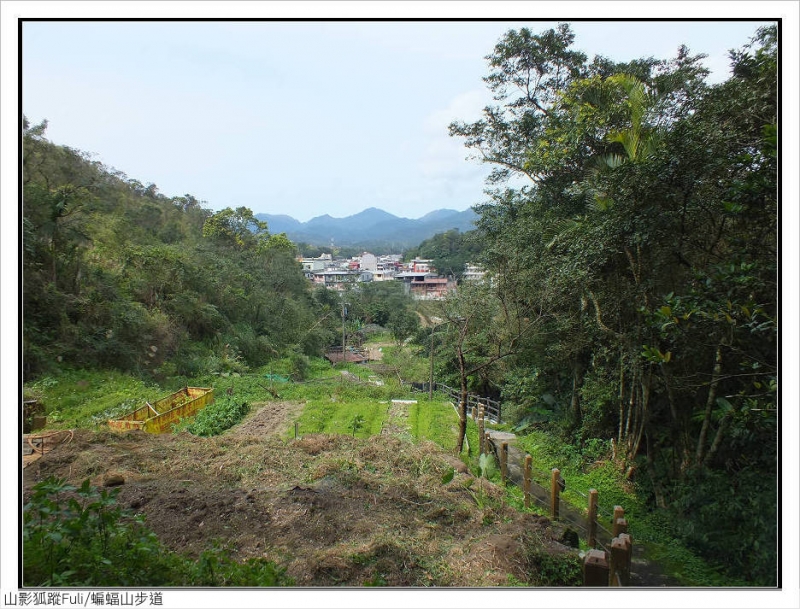 蝙蝠山步道 (34).jpg - 蝙蝠山步道