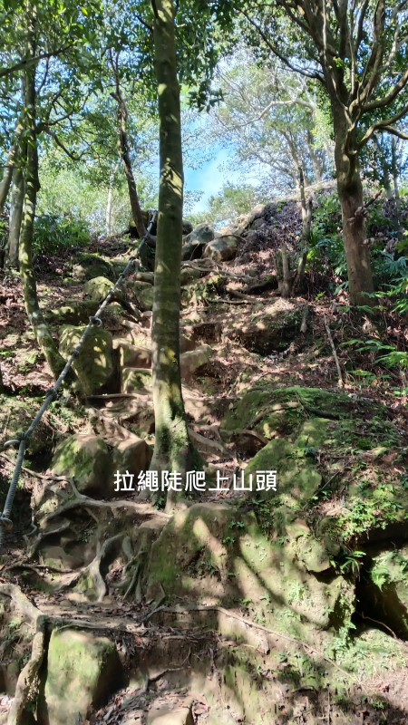 37d508d3a08ff24d23e3e6fbadc902b2.png