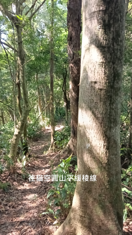 3853f7820ce280d67601a0b8ffa2c22e.png