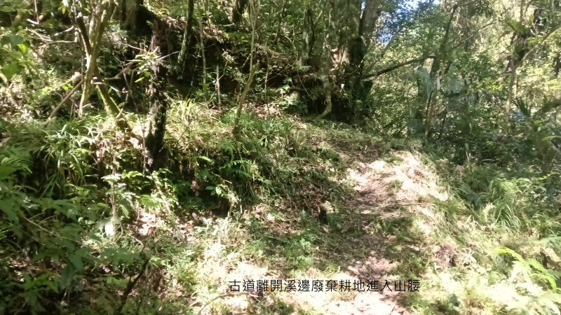 387f6a4b4a061a8f25c1c9831c1ea72b.png