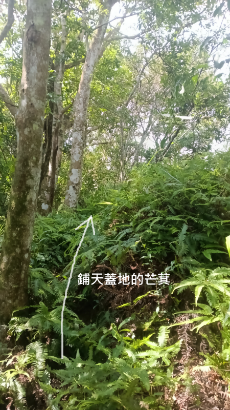 38c1af112852d23ba8e9f97bdec33546.png