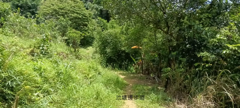 38d67cb422f6f5e969ddd8ced1b7e7bd.png