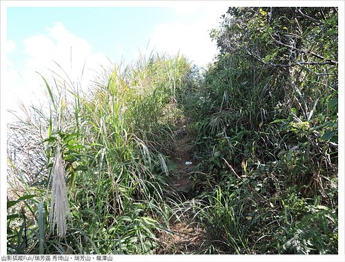 瑞芳三小山 (38).JPG - 瑞芳三小山(秀琦山、瑞芳山、龍潭山)