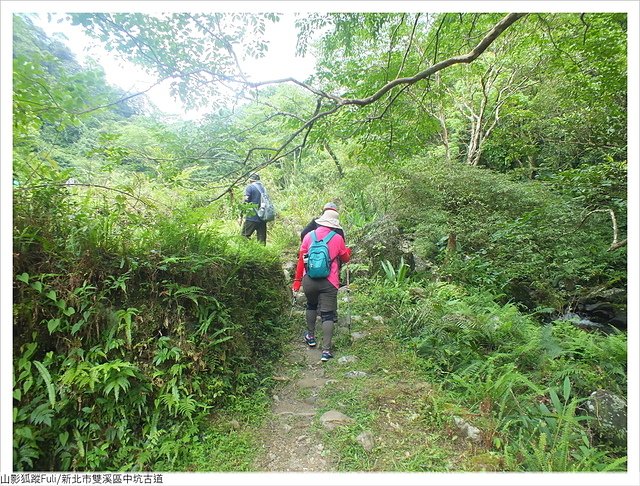 中坑古道 (48).JPG - 淡蘭中坑古道