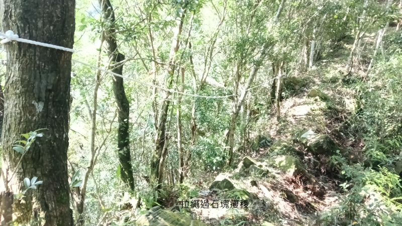 39105c585b22d9d8d94188ea6c5ef02d.png