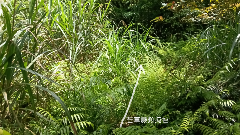 39c110ebd17d5d97da2576009b312b79.png