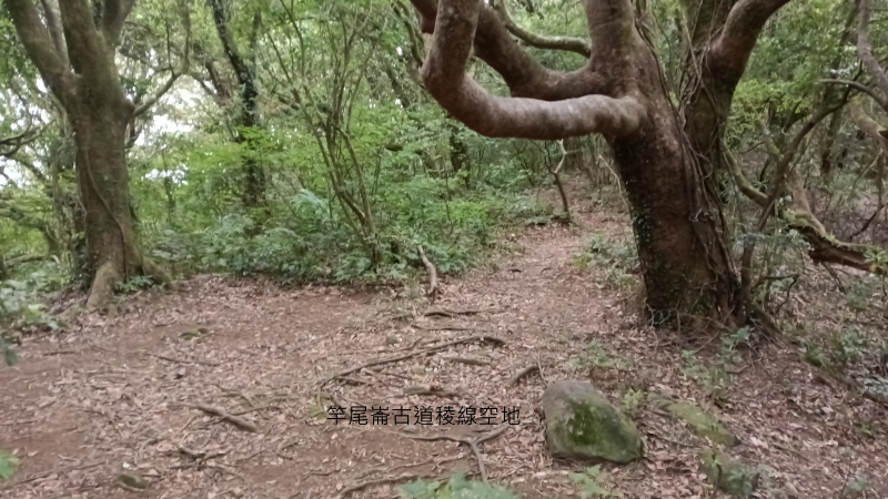 39d7bf3658fd836c851ae4f18cb21c7e.png