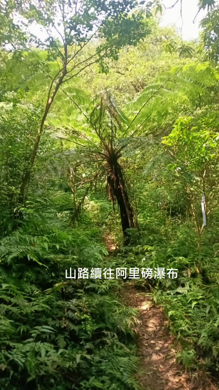 3a4af6239691a6c002db8e23fcba8e37.png
