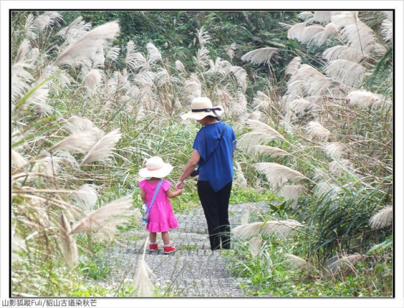 貂山古道 (47).jpg - 貂山古道