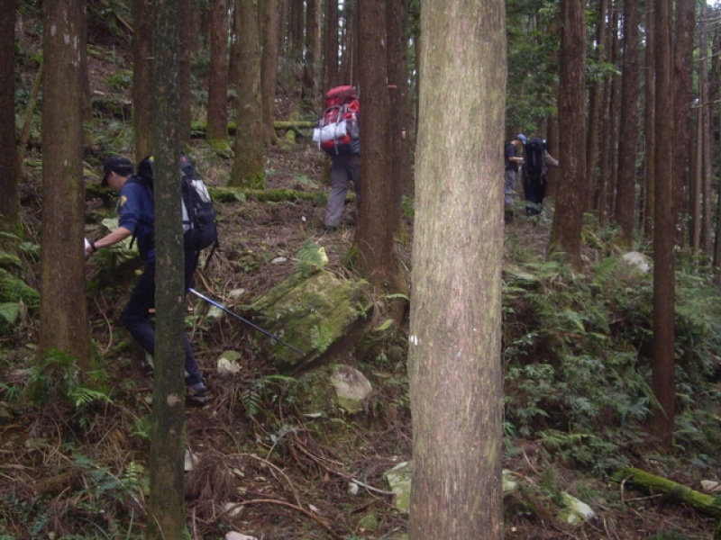 IMGP9298.JPG - 高雄茂林鳳崗林道進六龜警備道出茂林(DAY2)