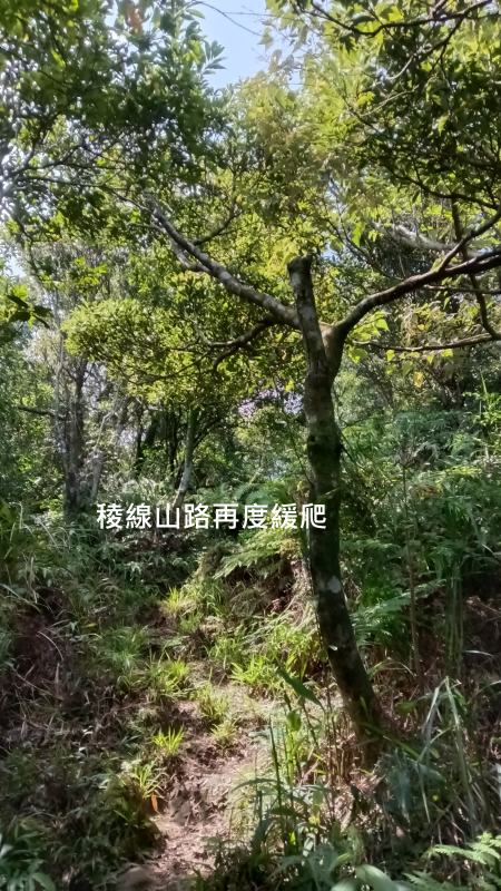 3ac5e6a39adf0a739eeb03d4abd5d7ee.png