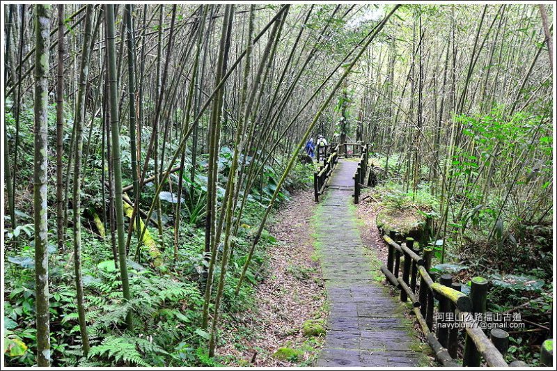 迷糊步道-福山古道