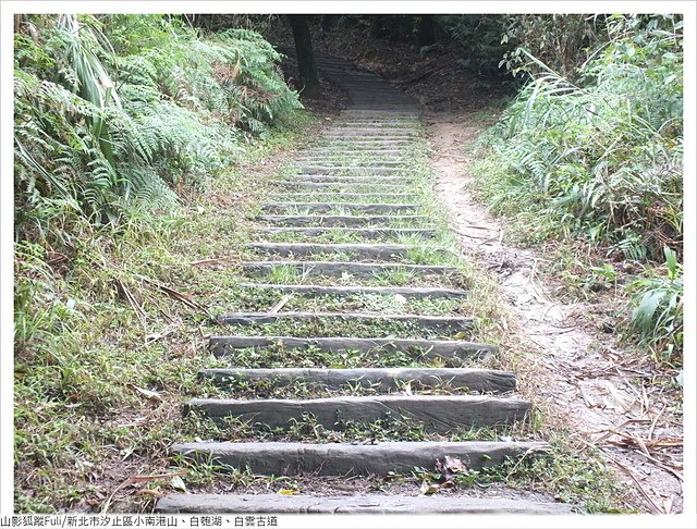 姜子寮山步道 (33).JPG - 姜子寮山步道櫻花