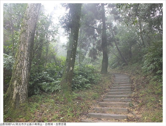 姜子寮山步道 (40).JPG - 姜子寮山步道櫻花