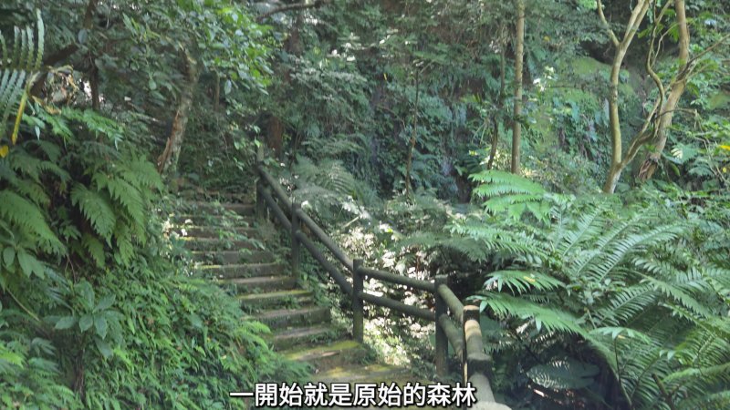 3c93d2ad44949fcf65cb5ce9f7bdf29c.jpg