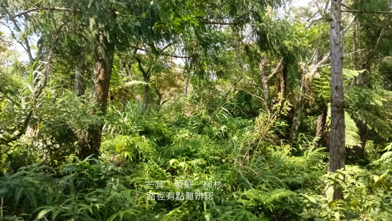 3caba675b72d3aa7f6b46cdcea5c352a.png