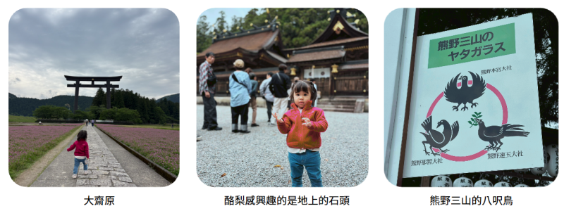 3cc714193a4a7d298ac366553fe6d3da.png