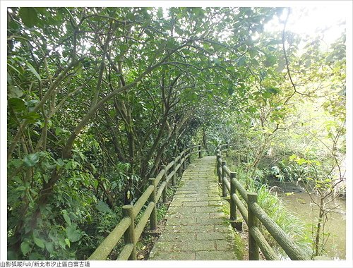 白雲古道 (57).JPG - 康誥坑溪山櫻花