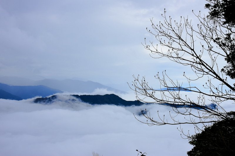 北得拉曼內鳥嘴山 (18).JPG